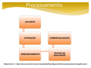 Processamento
COLHEITA
EXTRAÇÃO
ARMAZENAMENTO
TESTES DE
QUALIDADE
COMERCIALIZAÇÃO
Disponível em: < http://www.cpt.com.br/cursos-criacaodeabelhas/artigos/colheita-e-processamento-da-geleia-reaL>
 