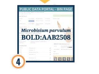 DNA BARCODING INTRODUCTION