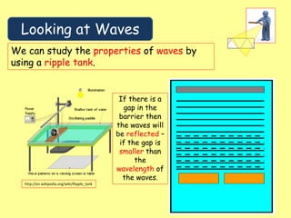 Looking at Waves
We can study the properties of waves by
using a ripple tank.
http://en.wikipedia.org/wiki/Ripple_tank
If there is a
gap in the
barrier then
the waves will
be reflected –
if the gap is
smaller than
the
wavelength of
the waves.
 