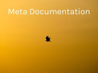 Meta Documentation
 