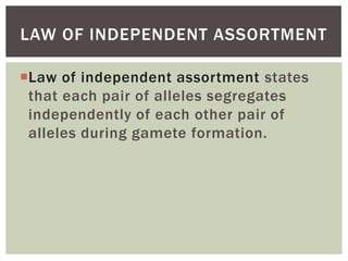 Law of independent assortment states
that each pair of alleles segregates
independently of each other pair of
alleles during gamete formation.
LAW OF INDEPENDENT ASSORTMENT
 