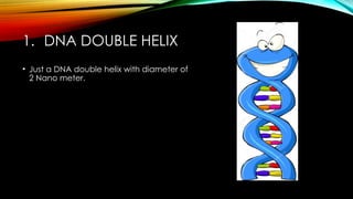 1. DNA DOUBLE HELIX
• Just a DNA double helix with diameter of
2 Nano meter.
 