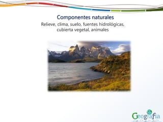 Componentes naturales
Relieve, clima, suelo, fuentes hidrológicas,
cubierta vegetal, animales
 