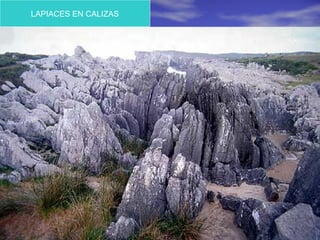 LAPIACES EN CALIZAS
 