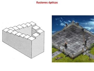 Ilusiones ópticas
 