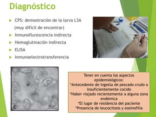 Diagnóstico
 CPS: demostración de la larva L3A
(muy difícil de encontrar)
 Inmunoflurescencia indirecta
 Hemaglutinación indirecta
 ELISA
 Inmunoelectrotransferencia
Tener en cuenta los aspectos
epidemiológicos:
*Antecedente de ingesta de pescado crudo o
insuficientemente cocido
*Haber viajado recientemente a alguna zona
endémica
*El lugar de residencia del paciente
*Presencia de leucocitosis y eosinofilia
 