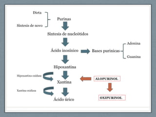 Gota    ppt