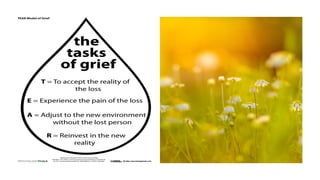 Grief, Loss and Transformation - Skills and Materials 