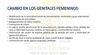 CAMBIO EN LOS GENITALES FEMENINOS:
• Modificación de la vulva (disminución de vascularización, elasticidad y grasa subcutánea).
• Aclaramiento de vello púbico.
• Adelgazamiento de labios mayores.
• Contracción de clítoris.
• En vagina: atrofia, disminución de su vascularización, paredes pálidas y finas, pérdida del
tono y elasticidad muscular, cambios en flora vaginal, y microambiente alcalino.
• Disminución del sostén de órganos pélvicos por la pérdida del tono y elasticidad de
ligamentos pélvicos.
• Atrofia de útero y ovarios (palpación de masa cuando la px es delgada).
• Contracción del cérvix, apariencia gruesa y brillante.
 