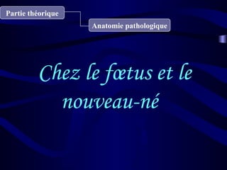 Chez le fœtus et le
nouveau-né 
Partie théorique
Anatomie pathologique
 