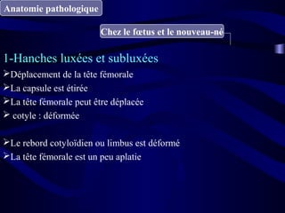 Anatomie pathologique
Chez le fœtus et le nouveau-né
1-Hanches luxées et subluxées
Déplacement de la tête fémorale
La capsule est étirée
La tête fémorale peut être déplacée
 cotyle : déformée
Le rebord cotyloïdien ou limbus est déformé
La tête fémorale est un peu aplatie
 