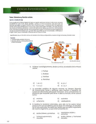 Ciencias Experim entales
Tema: Estructura y función celular
Aparato o complejo de Golgi
Como sepuede veren lafigura, el aparato deGolgi es un organelo membranosocercano al núcleo celular, compuesto
normalmente de cuatro a ocho sáculos aplanados y apilados, en forma de dlctiosoma. Cada sáculo tiene una
membrana que separa un espado Intersticial interior (lumen) del citosol. El díctiosoma tiene tres subdivisiones
llamadas cara Cis (zona orientada hacia el núcleo celular), región medial (región intermedia) y cara trans (estructura
más cercana a la membrana plasmática). La cara Cis del Golgi recibe las vesículas que llevan en su Interior proteínas
recién sintetizadas producidas apartirdel retículoendoplasmáticorugoso. Enlacaratrans se producelagemación de
vesículas detransporte de distintos tipos, que están llenas de proteínas que han sido procesadas y modificadas en
la región medial y que son distribuidas a diferentes destinosfinales en la célula.
Específicamente, hay un intercambio continuo de materiales entre el retículo endoplasmático, el aparatodeGolgi, los lisosomasyel exterior celular.
Funciones
• Transporta lípidos alrededorde la célula.
• Selecciona, destina ysintetiza polisacáridos de
lamatriz extracelular. — — —— — Vesículas678
Membrana Celular
Dictiosoma-
6. Ordenar cronológicamente, desde su inicio, los estados de la mitosis
celular.
1. Profase
2. Anafase
3. Telofase
4. Metafase
a) 1, 4, 2, 3 b) 4, 3, 2,1
c) 1,2,4,3 d) 4 ,1,3,2
7. La actividad catalítica de algunas enzimas no siempre depende
de interacciones físicas y químicas, pero muchas sí requieren de
sustancias adicionales para poder funcionar. A los componentes no
proteicos que necesitan para llevar a cabo su función, se les conoce
como:
a) enzimas b) sustratos
c) cofactores d) catalizadores
8. A Catalina le recetaron esteroides, pero ella no los quiere tomar
porque cree que son dañinos para la salud. Sin embargo, en estudios
se ha visto que están formados por lípidos que son parte importante
de nuestro organismo, ya que están presentes en:
a) ácidos biliares y proteínas
 corteza suprarrenal y
' vacuolas
L-, membrana celular y
' estromas
ácidos biliares y hormonas
' sexuales
132
 