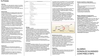 Definición
Tumor maligno de origen glandular, situado en la próstata.
Se informa con mayor frecuencia en hombres mayores de
50 años; la mediana de edad en el momento del
diagnóstico en los EE. UU. es de 67 años (según datos de
2015 a 2019).
Ca Próstata
Epidemiología
El cáncer de próstata es el segundo cáncer más común y
la quinta causa principal de mortalidad por cáncer en los
hombres en todo el mundo.
En 2020, se calculó que aproximadamente 1,4 millones de
casos nuevos de cáncer de próstata y 375 000 muertes
relacionadas ocurrieron en todo el mundo.
Las incidencias más altas se informaron en el norte y el
oeste de Europa, el Caribe, Australia, Nueva Zelanda,
América del Norte y el sur de África.[8] Las incidencias
más bajas se informaron en Asia y el norte de África.[8] En
los EE. UU., el cáncer de próstata es la segunda causa
principal de mortalidad por cáncer en los hombres.[9] Se
calcula que en los EE. UU. en 2022 se producirán 268 490
nuevos casos de cáncer de próstata y 34 500 muertes
asociadas.
Aproximadamente 12,6 % de los hombres en los EE. UU.
recibirán un diagnóstico de cáncer de próstata durante su
vida (según datos de 2017 a 2019).
Se notifica con mayor frecuencia en hombres mayores de
50 años, y la mediana de edad en el momento del
diagnóstico es de 67 años (según datos de 2015 a
2019).[1] La tasa de incidencia ajustada por edad en los
EE. UU. es de 112,7 por 100 000 hombres por año (según
datos de 2015 a 2019).
La tasa de incidencia es más alta entre los hombres
negros no hispanos (183,4 por 100 000) y más baja entre
los hombres asiáticos/isleños del Pacífico no hispanos
(59,6 por 100 000).
La tasa de incidencia entre los hombres blancos no
hispanos es de 110,0 por 100 000 y entre los hombres
hispanos es de 88,6 por 100 000.
Clasificación
-Grupos de riesgo de la Red Nacional Integral del
Cáncer (NCCN) para el cáncer de próstata clínicamente
localizado
-Puntaje de evaluación de riesgo de cáncer de próstata
(CAPRA)
-Modelo de estratificación de riesgo de 5 niveles del
Cambridge Prognostic Group (CPG) para el cáncer de
próstata localizado o localmente avanzado
Etiología
-Dieta alta en grasas
-Factores genéticos:se han implicado mutaciones de la línea
germinal específicas del cáncer de próstata (por ejemplo,
HOXB13).Las mutaciones de la línea germinal asociadas con
otros cánceres (p. ej., mama, ovario, síndrome de Lynch [cáncer
colorrectal hereditario sin poliposis]) también se han implicado en
el cáncer de próstata (p. ej., BRCA1, BRCA2, ATM, CHEK2,
PALB2, MLH1, MSH2, PMS2, y MSH6).
-Etnicidad En los EE. UU., los hombres negros no hispanos
tienen la incidencia más alta de cáncer de próstata de cualquier
grupo étnico (183,4 por 100 000).[
-Influencia hormonal Hay pruebas contradictorias sobre el
impacto de la influencia hormonal en la causa directa del cáncer
de próstata.
Fisiopatología
La neoplasia intraepitelial prostática (PIN, por sus siglas en inglés)
de alto grado es la entidad histológica ampliamente considerada
como el precursor más probable del cáncer de próstata invasivo.
La PIN se caracteriza por la proliferación celular dentro de
conductos y glándulas preexistentes con cambios citológicos que
simulan una neoplasia. PIN se asocia con anomalías progresivas
de fenotipo y genotipo que son intermedias entre el epitelio
prostático normal y el cáncer.
Se identificó cáncer de próstata en el 35 % de las biopsias
posteriores del grupo PIN y en el 13 % del grupo sin PIN.
El PIN de alto grado, la edad del paciente y los niveles de
antígeno prostático específico fueron predictores
altamente significativos de cáncer de próstata, con PIN
con una relación de riesgo de 14,93.
El cáncer de próstata tiende a diseminarse a lo largo de la
superficie capsular de la glándula y puede invadir las
vesículas seminales, el tejido periprostático y, finalmente,
el cuello de la vejiga.
La diseminación posterior puede ser a los espacios
perineurales, los vasos linfáticos y los vasos sanguíneos,
lo que da como resultado metástasis hematógenas. En un
estudio de autopsias de 1589 hombres con cáncer de
próstata realizado entre 1967 y 1995, las metástasis
hematógenas estaban presentes en el 35% de los
pacientes, siendo la afectación más frecuente el hueso
(90%), luego el pulmón (46%), el hígado (25%), pleura (21
%) y suprarrenales (13 %)
Manifestaciones clínicas:
.Examen rectal digital anormal (DRE): Hallazgo de
presentación menos común desde que se ha adoptado
ampliamente la detección del antígeno prostático
específico (PSA). Una próstata asimétrica y/o indurada o
nodular sugiere cáncer y debe impulsar una evaluación
adicional. Se puede observar el tamaño total de la
próstata. Sin embargo, estimar el tamaño de la próstata en
el examen es inexacto y poco confiable.
-nicturia, frecuencia urinaria, vacilación urinaria, disuria,
hematuria ,pérdida de peso/anorexia, letargo, dolor de
huesos ,ganglios linfáticos palpables.
Diagnóstico:
-Cuadro clínico
-Antígeno prostático específico (PSA) sérico:Para algunas
personas con concentraciones del PSA inferiores a 4,0
ng/ml tienen cáncer de próstata
-Prebiopsia MRI multiparamétrica
-Biopsia de próstata
Estudios de gabinete e imagenológicos
-Prueba de biomarcadores prebiopsia testosterona
-LFT
-FBC
-Función renal gammagrafía ósea (tecnecio-99)
-Radiografías simples
-Tomografía computarizada resonancia magnética
-Antígeno prostático específico de membrana
(PSMA)-PET/CT PSMA-PET/RM
-Pruebas geneticas y moleculares
-Fusiones del gen TMPRSS2-ERG
Manejo y tratamiento en Consulta externa
-Terapia de privación de andrógenos:Leuprorelina
goserelina degarelix relugolix
-Braquiterapia:Para la enfermedad de muy bajo riesgo, se
deben cumplir los siguientes criterios: tumor cT1c, grupo
de grado 1, antígeno prostático específico (PSA) <10
microgramos/L (<10 nanogramos/mL), <3
fragmentos/núcleos de biopsia de próstata positivos, ≤50%
de cáncer en cada fragmento/núcleo y densidad de PSA
<0,15 microgramos/L/g (<0,15 nanogramos/mL/g).
-Prostatectomía radical: Para la enfermedad de muy bajo
riesgo, se deben cumplir los siguientes criterios: tumor
cT1c, grupo de grado 1, antígeno prostático específico
(PSA) <10 microgramos/L (<10 nanogramos/mL), <3
fragmentos/núcleos de biopsia de próstata positivos, ≤50
% de cáncer en cada fragmento/núcleo y densidad de PSA
<0,15 microgramos/L/g (<0,15 nanogramos/ml/g)
-Radioterapia de haz externo
ALUMNO:
GONZALEZ ALVARADO
JUAN PABLO MIP2
 