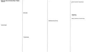 Definición
Infección Vías Urinarias Altas Y Bajas
Epidemiología
ETIOLOGIA
Fisiopatología
Manifestaciones clínicas:
-
Estudios de gabinete e imagenológicos
A-
Manejo y tratamiento en Consulta externa
-
-
Diagnóstico:
Clinica+ EGO
 