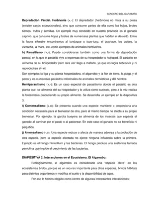 Tema 4. Aminoácidos y péptidos Bioquímica
56
5) a pH=5 el grupo J-COOH estará al 100 % desprotonado y el resto de
grupos seguirá igual, hasta llegar a pH= 8, donde el D-amino estará
desprotonado al 50 % (0,5) , grupo que se desprotonará al 100 % a partir de
un pH= 9.
Como se puede apreciar en la tabla, la carga total del aminoácido depende del pH
de la disolución en que se encuentre.
Existe un pH al cual la carga neta del aminoácido es cero (si lo colocamos en un
campo eléctrico no se desplazará hacia ninguno de los polos). El pH al cuál un
aminoácido posee carga neta cero recibe el nombre de punto isoeléctrico (pI), que
es la media aritmética de los valores de pK1 y pK2 que delimitan la forma con carga
cero.
En la siguiente tabla pueden localizarse los aminoácidos que, al igual que el ácido
glutámico, poseen grupos –R protonables.
 