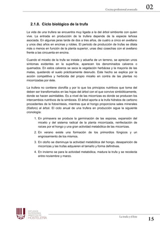 2.1.8. Ciclo biológico de la trufa
La vida de una trufera se encuentra muy ligada a la del árbol simbionte con quien
vive. La entrada en producción de la trufera depende de la especie leñosa
asociada. En algunas jaras tarde de dos a tres años, de cuatro a cinco en avellano
y unos diez años en encinas y robles. El periodo de producción de trufas se dilata
más o menos en función de la planta superior, unas diez cosechas con el avellano
frente a las cincuenta en encina.
Cuando el micelio de la trufa se instala y adueña de un terreno, se aprecian unos
síntomas evidentes en la superficie, aparecen los denominados calveros o
quemados. En estos calveros se seca la vegetación herbácea y la mayoría de las
matas, quedando el suelo prácticamente desnudo. Este hecho se explica por la
acción competitiva y herbicida del propio micelio en contra de las plantas no
micorrizadas por éste.
La trufera no contiene clorofila y por lo que los principios nutritivos que toma del
deben ser transformados en las hojas del árbol con el que convive simbióticamente,
donde se hacen asimilables. Es a nivel de las micorrizas es donde se producen los
intercambios nutritivos de la simbiosis. El árbol aporta a la trufa hidratos de carbono
procedentes de la fotosíntesis, mientras que el hongo proporciona sales minerales
(fósforo) al árbol. El ciclo anual de una trufera en producción sigue la siguiente
cronología:
1. En primavera se produce la germinación de las esporas, expansión del
micelio y del sistema radical de la planta micorrizada, reinfectación de
raíces por el hongo y una gran actividad metabólica de las micorrizas.
2. En verano existe una formación de los primordios fúngicos y un
engrosamiento de los mismos.
3. En otoño se disminuye la actividad metabólica del hongo, desaparición de
micorrizas y las trufas adquieren el tamaño y forma definitivas.
4. En invierno se para la actividad metabólica, madura la trufa y se recolecta
entre noviembre y marzo.
 