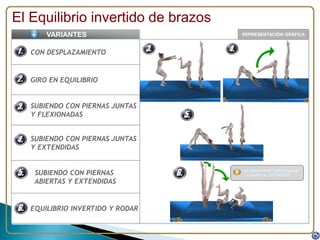 REPRESENTACIÓN GRÁFICA
El Equilibrio invertido de brazos
CON DESPLAZAMIENTO
GIRO EN EQUILIBRIO
SUBIENDO CON PIERNAS JUNTAS
Y FLEXIONADAS
VARIANTES
SUBIENDO CON PIERNAS JUNTAS
Y EXTENDIDAS
SUBIENDO CON PIERNAS
ABIERTAS Y EXTENDIDAS
EQUILIBRIO INVERTIDO Y RODAR
NO AGRUPARSE HASTA PASAR
LA VERTICAL EXTENDIDO
 