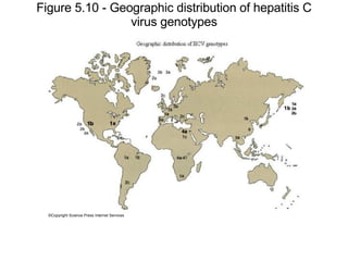 Figure 5.10 - Geographic distribution of hepatitis C virus genotypes ©Copyright Science Press Internet Services 