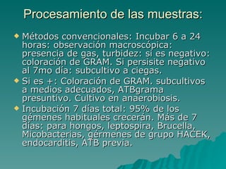 Procesamiento de las muestras: Métodos convencionales: Incubar 6 a 24 horas: observación macroscópica: presencia de gas, turbidez: si es negativo: coloración de GRAM. Si persisite negativo al 7mo día: subcultivo a ciegas. Si es +: Coloración de GRAM. subcultivos a medios adecuados, ATBgrama presuntivo. Cultivo en anaerobiosis. Incubación 7 días total: 95% de los gémenes habituales crecerán. Más de 7 días: para hongos, leptospira, Brucella, Micobacterias, gérmenes de grupo HACEK, endocarditis, ATB previa. 