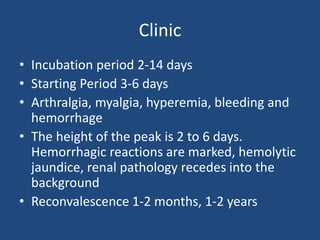 Clinic
• Incubation period 2-14 days
• Starting Period 3-6 days
• Arthralgia, myalgia, hyperemia, bleeding and
hemorrhage
• The height of the peak is 2 to 6 days.
Hemorrhagic reactions are marked, hemolytic
jaundice, renal pathology recedes into the
background
• Reconvalescence 1-2 months, 1-2 years
 