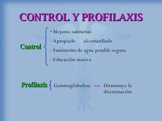 CONTROL Y PROFILAXIS   -   Mejoras sanitarias   - Apropiado  alcantarillado   - Suministro de agua potable segura    - Educación masiva Profilaxis  Gammaglobulina  Disminuye la   diseminación  Control  