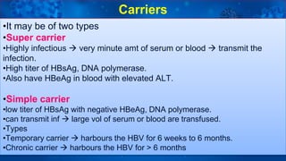 24
•It may be of two types
•Super carrier
•Highly infectious  very minute amt of serum or blood  transmit the
infection.
•High titer of HBsAg, DNA polymerase.
•Also have HBeAg in blood with elevated ALT.
•Simple carrier
•low titer of HBsAg with negative HBeAg, DNA polymerase.
•can transmit inf  large vol of serum or blood are transfused.
•Types
•Temporary carrier  harbours the HBV for 6 weeks to 6 months.
•Chronic carrier  harbours the HBV for > 6 months
Carriers
 