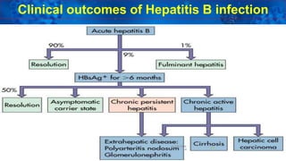 27
Clinical outcomes of Hepatitis B infection
 