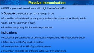 40
HBIG is prepared from donors with high titres of anti-HBs.
Dose: 0.06mL/Kg (or 10-12 IU/Kg)  I.M.
Should be administered as early as possible after exposure  ideally within
hours, but not later than 7 days.
Provides temporary but immediate production.
Indications
Accidental percutaneous or permucosal exposure to HBsAg positive blood.
Infant born to HBsAg positive mother.
Sexual contact of an HBsAg positive person.
Protection against HBV infection after liver transplantation.
Passive Immunisation
 