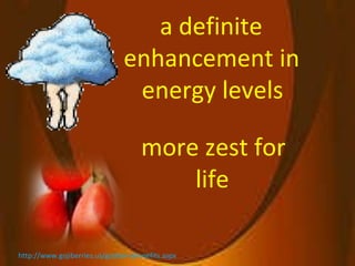 a definite  enhancement in  energy levels more zest for  life http://www.gojiberries.us/gojiberrybenefits.aspx 