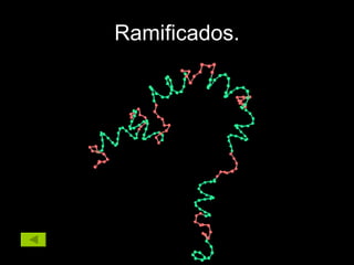 Ramificados. 