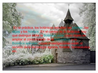]  En la práctica, los botánicos estudian las  plantas , las  algas  y los  hongos . En el campo de la Botánica, hay que distinguir entre la  Botánica pura , cuyo objeto es ampliar el conocimiento de la  Naturaleza , y la  Botánica aplicada , cuyas investigaciones están al servicio de la tecnología agraria, forestal, farmacéutica, etc.   