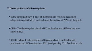 Direct pathway of allorecognition.
 In the direct pathway, T cells of the transplant recipient recognize
allogeneic (donor) MHC molecules on the surface of APCs in the graft.
 CD8+ T cells recognize class I MHC molecules and differentiate into
active CTLs.
 CD4+ helper T cells recognize allogeneic class II molecules and
proliferate and differentiate into TH1 (and possibly TH17) effector cells
 