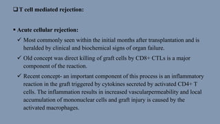 T cell mediated rejection:
 Acute cellular rejection:
 Most commonly seen within the initial months after transplantation and is
heralded by clinical and biochemical signs of organ failure.
 Old concept was direct killing of graft cells by CD8+ CTLs is a major
component of the reaction.
 Recent concept- an important component of this process is an inflammatory
reaction in the graft triggered by cytokines secreted by activated CD4+ T
cells. The inflammation results in increased vascularpermeability and local
accumulation of mononuclear cells and graft injury is caused by the
activated macrophages.
 