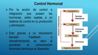 Control Hormonal
 Por la acción de control e
integración que poseen las
hormonas, están sujetas a un
sistema de control en su producción
y eliminación .
 Esto gracias a un mecanismo
llamado Feedback o
retroalimentación es decir al
aumentar la concentración
hormonal disminuye su liberación.
 