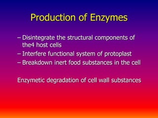 Production of Enzymes
– Disintegrate the structural components of
the4 host cells
– Interfere functional system of protoplast
– Breakdown inert food substances in the cell
Enzymetic degradation of cell wall substances
 