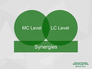 MC Level

LC Level

Synergies

 