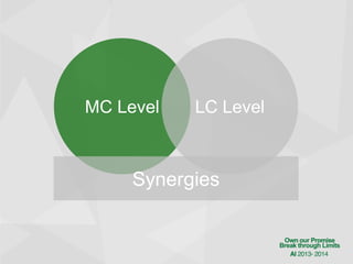 MC Level

LC Level

Synergies

 