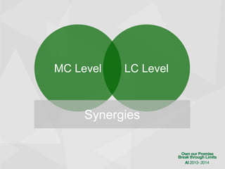 MC Level

LC Level

Synergies

 