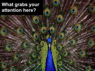What grabs your
attention here?

 