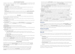 Alasmenores[apófisisdeIngrassias]
Triangulares, de base medial y horizontales, se implantan a ambos lados del cuerpo del esfenoides por medio
de dos raíces: superior y posteroinferior; ambas delimitan el conducto (canal) óptico, por donde pasan hacia la
órbita el nervio óptico y la oftálmica.
Su cara superior forma parte de la fosa craneal anterior.
La cara inferior, más pequeña que la superior, constituye la parte más posterior de la pared superior de la
cavidad orbitaria y el borde superior de la fisura orbitaria superior.
El borde anterior se articula con la porción orbitaria del frontal y con una parte de la lámina cribosa del
etmoides.
El borde posterior, delgado lateralmente y más grueso en sentido medial, forma las apófisis clinoides anterior,
cuyo vértice está dirigido hacia atrás por la inserción de la tienda del cerebelo (circunferencia menor). En
estado fresco, el borde posterior está revestido por duramadre, que contiene aquí al seno esfenoparietal
[Breschet].
Alas mayores
De contorno anguloso, fuertemente incurvadas hacia arriba y hacia atrás, prolongan la parte lateroinferior del
cuerpo del esfenoides. Se describen 3 caras y 4 bordes:
• Cara cerebral [posterior]: cóncava, pertenece a la fosa craneal media; es estrecha de adelante hacia atrás y
recibe al polo temporal del cerebro.
• Cara orbitaria [anterior]: cuadrilátera, está orientada anteromedialmente y contribuye a formar la pared lateral
de la cavidad orbitaria.
• Cara exocraneal: se encuentra dividida en dos por la cresta infratemporal [cresta esfenotemporal], una parte
superior que corresponde a la cara temporal y otra inferior que corresponde a la cara infratemporal
[cigomática].
• Borde cigomático [anterior]: se articula con el hueso cigomático.
• Borde escamoso [posterior]: se articula con la porción escamosa del temporal.
• Bordes frontal y parietal [superior]: se articulan con el borde esfenoidal del frontal y con el borde escamoso del
parietal, respectivamente.
• Borde medial: está unido medialmente al cuerpo del esfenoides y se articula por detrás con la porción petrosa
del temporal. Presenta 4 orificios:
 La fisura orbitaria superior [hendidura esfenoidal], que separa el ala mayor de la menor. Ancha
medialmente, da paso a los nervios oculomotor, troclear y abducens, a las 3 ramas del nervio oftálmico y
a la vena oftálmica
 El foramen redondo [redondo mayor], para el nervio maxilar.
 El foramen oval, por donde pasan el nervio mandibular y la rama accesoria de la arteria meníngea media.
 El foramen espinoso [redondo menor], para la arteria meníngea media.
También se describen el foramen venoso [de Vesalio], situado en sentido medial al foramen oval, por donde pasa
una vena emisaria, y el foramen petroso [innominado de Arnold], situado algo atrás y medial al foramen espinoso
por donde pasa el nervio petroso menor. Los bordes escamoso y medial de las alas mayores se reúnen para
formar abajo la espina del esfenoides, sobre la cual se inserta el ligamento esfenomandibular.
Apófisis pterigoides
Se implantan en la cara inferior del cuerpo del esfenoides por medio de dos raíces: una medial y otra lateral
Ambas raíces circunscriben el conducto pterigoideo [conducto vidiano], por el que transcurren el nervio del
conducto pterigoideo [nervio vidiano] y los vasos del mismo nombre. Las raíces se prolongan hacia abajo en
forma de dos láminas:
1. Lámina medial: lámina cuadrilátera ligeramente cóncava en sentido medial, desciende hacia el paladar
óseo. Su cara medial corresponde a la parte más profunda de la pared lateral de las cavidades nasales.
Su cara lateral forma la pared medial de la fosa pterigoidea; en su parte superior se observa la fosa
escafoidea, en la cual se inserta el músculo tensor del velo del paladar. De la raíz de esta lámina se
desprende una laminilla o apófisis vaginal que, dirigida medialmente, constituye con el cuerpo del esfenoides un
surco que el borde del ala del hueso vómer transforma en conducto vomerovaginal; la cara inferior de la apófisis
vaginal se articula con la apófisis esfenoidal del hueso palatino: conducto palatovaginal [conducto
pterigopalatino]. El borde inferior de la lámina medial desciende más que el de la lámina lateral y termina atrás, en
el gancho de la apófisis pterigoides, en cuya concavidad se refleja el tendón del músculo tensor del velo del
paladar. El borde posterior, delgado y cortante, presenta en la parte superior una incisura que corresponde al
pasaje de la trompa auditiva.
2. Lámina lateral: es cuadrilátera, inclinada en sentido lateral; la cara medial forma la pared lateral de la fosa
pterigoidea; la cara lateral, orientada lateroanteriormente, da inserción a la cabeza inferior del músculo
pterigoideo lateral; el borde posterior, cóncavo, separa los dos músculos pterigoideos; su parte media presenta
una saliente: la apófisis pterigoespinosa [de Civinini], en la cual se inserta el ligamento pterigoespinoso.
Las láminas lateral y medial se separan hacia atrás delimitando la fosa pterigoidea y se fusionan por delante
formando un borde grueso. En su mitad superior, este borde es libre y limita hacia atrás la pared posterior de la fosa
pterigopalatina. Esta tiene forma de canal y prolonga hacia abajo la abertura pterigopalatina del conducto
pterigoideo. En la parte inferior, este canal se continúa con dos surcos: uno en la cara posterior de la apófisis
esfenoidal del palatino y otro en la cara nasal del maxilar. Se forma así el conducto palatino mayor, por donde pasan
los nervios y los vasos palatinos mayores. Más abajo, los bordes de ambas láminas, fusionadas hasta aquí, se separan
formando un ángulo de bordes dentados, la escotadura pterigoidea, en la cual se articula la apófisis piramidal del
palatino. La fosa pterigoidea, comprendida entre las dos láminas, es más profunda en la parte inferior; su pared
medial presenta rugosidades y crestas de inserción para el músculo pterigoideo interno.
Estructura
El esfenoides está formado por láminas de tejido compacto que limitan cavidades o senos esfenoidales. Situados por
debajo de la silla turca y del surco prequiasmático, se encuentran separados entre sí por el tabique intersinusal
esfenoidal; ambos senos se abren en el receso esfenoetmoidal de ambas cavidades nasales. El resto del hueso está
formado por tejido compacto, excepto en la base de las apófisis pterigoides y en la parte más espesa de las alas
mayores, donde se encuentran trazas de tejido esponjoso.
Anatomía de superficie
El esfenoides se encuentra hundido en el interior de la base del cráneo, por detrás del esqueleto facial; escapa así a
toda exploración directa: no se puede palpar.
Desarrollo
Los centros de osificación aparecen entre el 3.° y el 7.° mes de la vida intrauterina. Primitivamente, el esfenoides
está constituido por cuatro piezas: el preesfenoides, el basiesfenoides y dos conchas esfenoidales (cornetes de
Bertin).
– Preesfenoides: se origina a partir de cuatro puntos de osificación, dos para la parte anterior del cuerpo y dos
para las alas menores.
– Basiesfenoides: ocho puntos de osificación lo originan: dos para la parte posterior del cuerpo; otros dos, uno a
cada lado, las alas mayores y las láminas laterales de las apófisis pterigoides, las láminas mediales de las
apófisis (procesos) pterigoides tienen su origen cada una por un centro; por último, los canales carotídeos se
desarrollan por otros dos centros.
– Conchas esfenoidales: se originan de dos centros anteriores; posteriormente, se sueldan a la parte
anteroinferior del cuerpo. Algunos autores adicionan las conchas esfenoidales [cornetes de Bertin] al hueso
etmoides.
La fusión entre el preesfenoides y el basiesfenoides queda incompleta en la parte inferior del hueso, donde persiste
un verdadero cartílago de conjunción. Atrás, el basiesfenoides permanece durante un tiempo separado del
basioccipital por un cartílago de crecimiento.
 