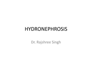HYDRONEPHROSIS
Dr. Rajshree Singh
 