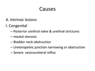 Causes
A. Intrinsic lesions
I. Congenital
– Posterior urethral valve & urethral strictures
– meatal stenosis
– Bladder neck obstruction
– Ureteropelvic junction narrowing or obstruction
– Severe vesicoureteral reflux
 