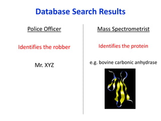 Database Search Results
Police Officer
Identifies the robber
Mr. XYZ
Mass Spectrometrist
Identifies the protein
e.g. bovine carbonic anhydrase
 