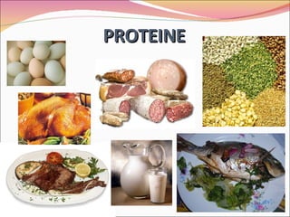 PROTEINE 
