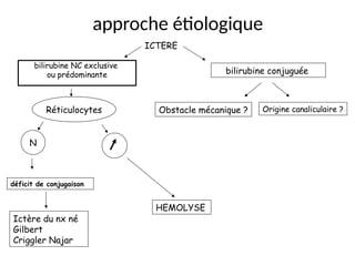 approche étiologique
bilirubine NC exclusive
ou prédominante bilirubine conjuguée
ICTERE
Réticulocytes
déficit de conjugaison
Ictère du nx né
Gilbert
Criggler Najar
N
HEMOLYSE
Obstacle mécanique ? Origine canaliculaire ?
 