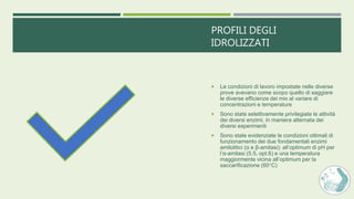 PROFILI DEGLI
IDROLIZZATI
 Le condizioni di lavoro impostate nelle diverse
prove avevano come scopo quello di saggiare
le diverse efficienze dei mix al variare di
concentrazioni e temperature
 Sono state selettivamente privilegiate le attività
dei diversi enzimi, in maniera alternata dei
diversi esperimenti
 Sono state evidenziate le condizioni ottimali di
funzionamento dei due fondamentali enzimi
amilolitici (α e β-amilasi): all’optimum di pH per
l’α-amilasi (5.5, opt.6) e una temperatura
maggiormente vicina all’optimum per la
saccarificazione (60°C)
 
