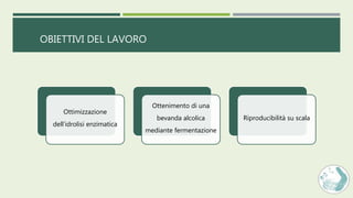 OBIETTIVI DEL LAVORO
Ottimizzazione
dell’idrolisi enzimatica
Ottenimento di una
bevanda alcolica
mediante fermentazione
Riproducibilità su scala
 
