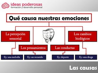 Las causas 
Qué causa nuestras emociones 
La percepción sensorial 
Los cambios biológicos 
Los pensamientos 
Las conductas 
Ej.: una melodía 
Ej.: un recuerdo 
Ej.: deporte 
Ej.: una droga  