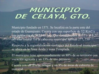 Municipio fundado en 1571. Se localiza en la parte este del estado de Guanajuato. Cuenta con una superficie de 521Km2 y una población de 382,140 hab. Que corresponden al 1.7 y al 8.21 del total estatal. En la cabecera municipal habitan 277, 750 Respecto a la regionalización ecológica del Estado el municipio se ubica en la Zona Árida y zona Templada.  El municipio tiene aproximadamente un 80% de su territorio con vocación agrícola y un 13% de uso pecuario. Cuenta con un .2% de bosque y un 9% de áreas de cubierta de matorral. MUNICIPIO DE  CELAYA, GTO. 