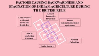 FACTORS CAUSING BACKWARDNESS AND
STAGNATION OF INDIAN AGRICULTURE DURING
THE BRITISH RULE
Land revenue
settlement
under the
British Raj
Forced
commercialisation of
agriculture
Lack of
Marketing
Facilities
Lack of
Productive
Investmen
Social Factors
Natural
Calamities
 